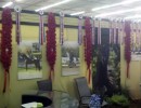 2016 297764 canadian nationals set up